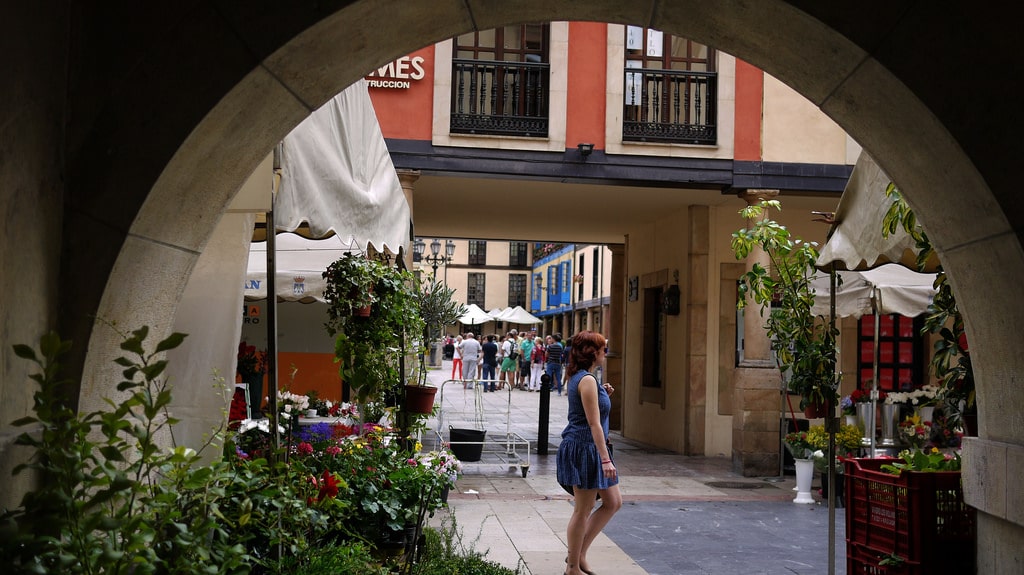Que ver en Asturias rural - Mercado de El Fontán en Oviedo - La Casa Azul de Las Caldas