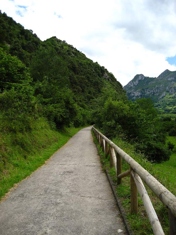 Senda-y-Ruta-del-Oso---Rutas-por-Asturias-con-Niños